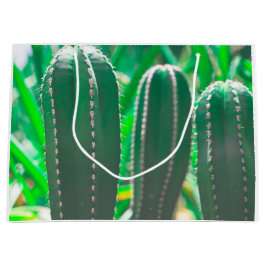 Pastel Grönt cactus plant löv pastel