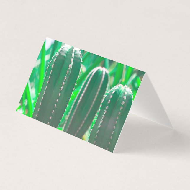 Pastel Grönt cactus plant löv pastel Kort (Framsida)