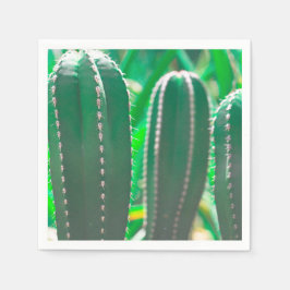 Pastel Grönt cactus plant löv pastel Pappersservett