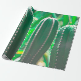 Pastel Grönt cactus plant löv pastel Presentpapper