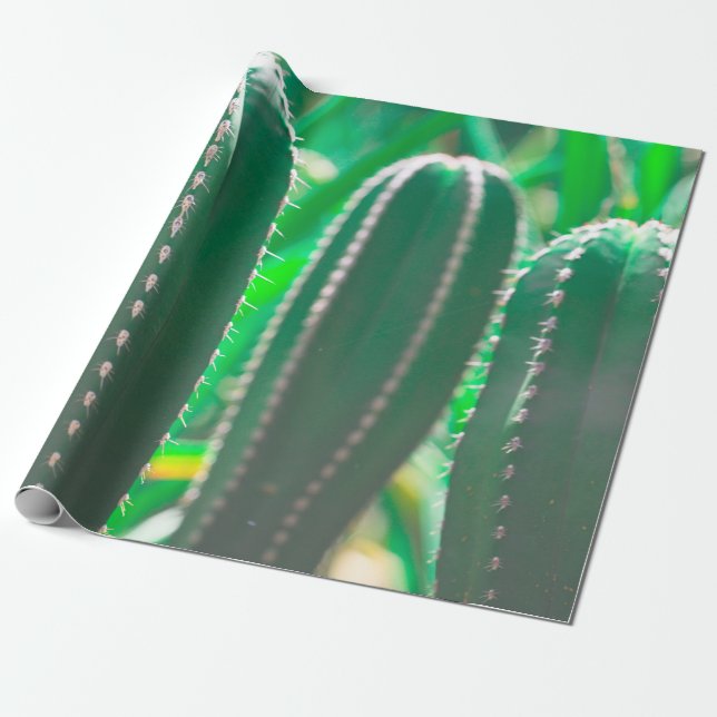Pastel Grönt cactus plant löv pastel Presentpapper (Utrullad)
