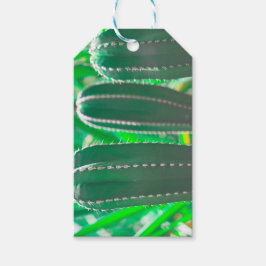 Pastel Grönt cactus plant löv Presentetikett