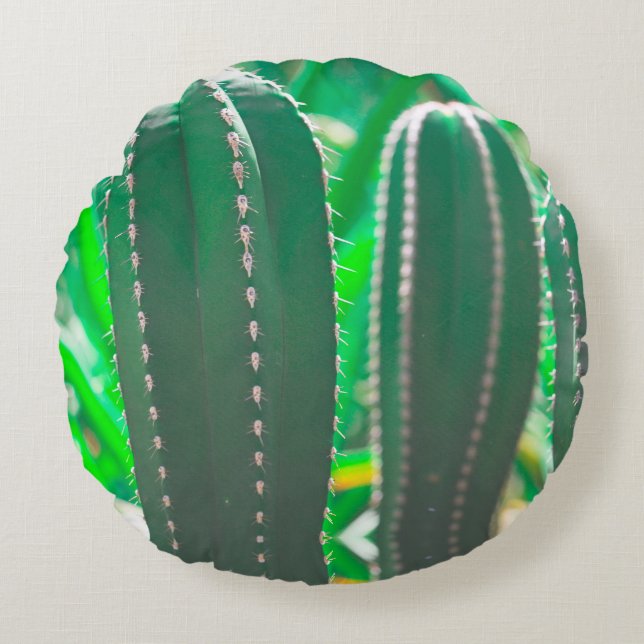Pastel Grönt cactus plant löv Rund Kudde (Framsidan)