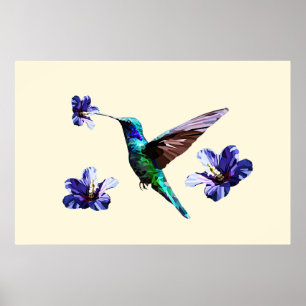 Pastel Gult Gorgous Hummingbird/Hibiscus Poster