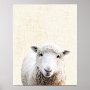 Pastel Gult Peekaboo Får Minimalist Nursery Poster