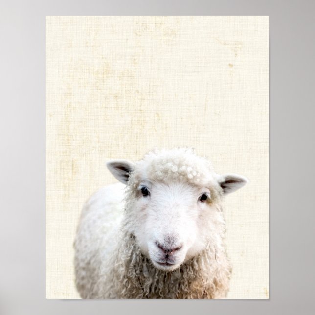 Pastel Gult Peekaboo Får Minimalist Nursery Poster (Framsidan)