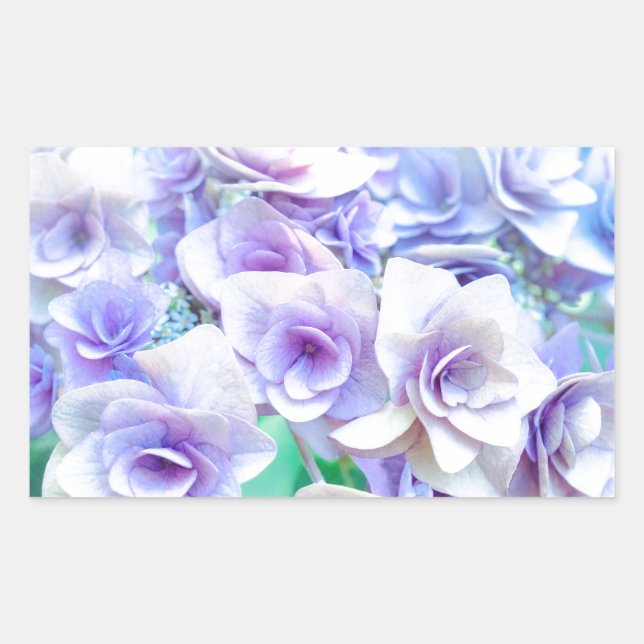 pastel hydrangea rektangulärt klistermärke (Framsida)