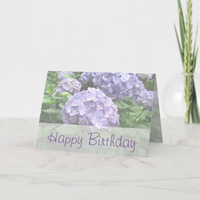 Pastel Hydrangeas på Trebah-födelsedagskort Kort (Framsida)
