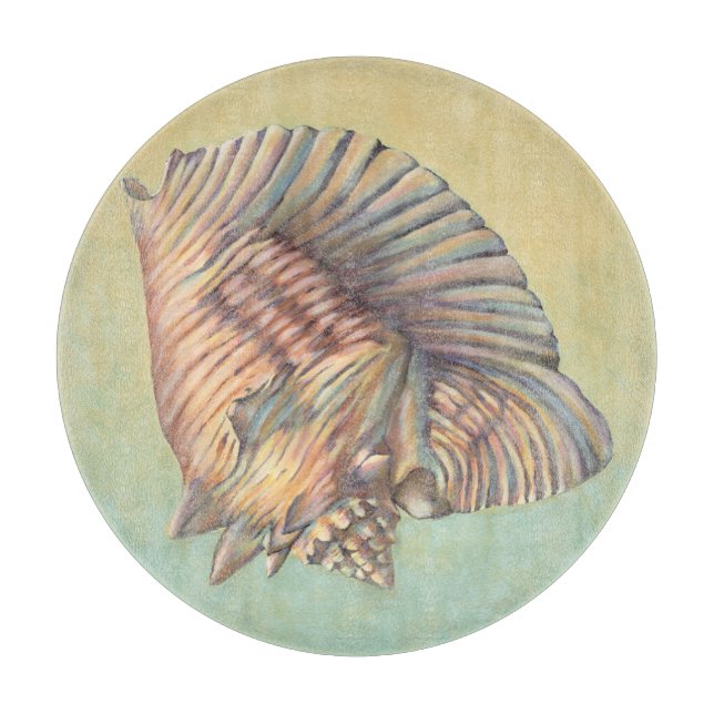 Pastel Large Conch-Snäcka (Framsidan)