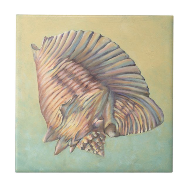 Pastel Large Conch-Snäcka Kakelplatta (Framsidan)