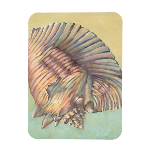 Pastel Large Conch-Snäcka Magnet (Vertikal)