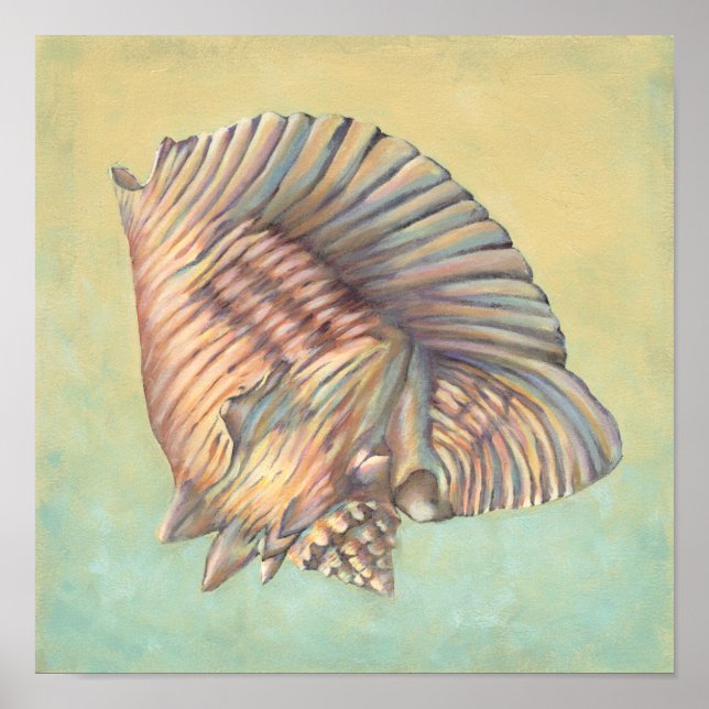 Pastel Large Conch-Snäcka Poster (Framsidan)
