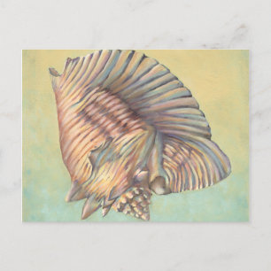 Pastel Large Conch-Snäcka Vykort