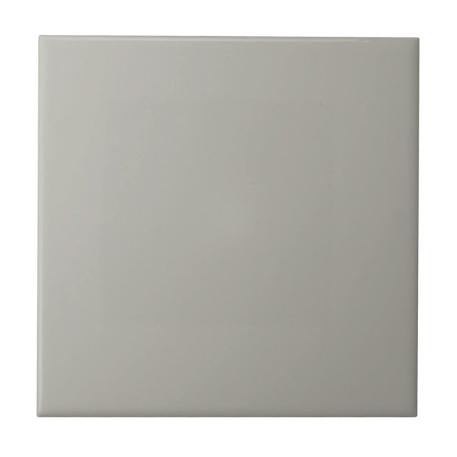 Pastel Mid Grått Taupe Solid Färg Tile Kakelplatta (Framsidan)