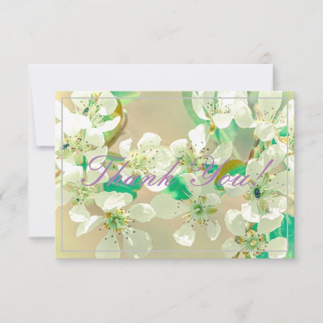 Pastel Pear Träd Blommar-Tack - platta kort (Framsida)