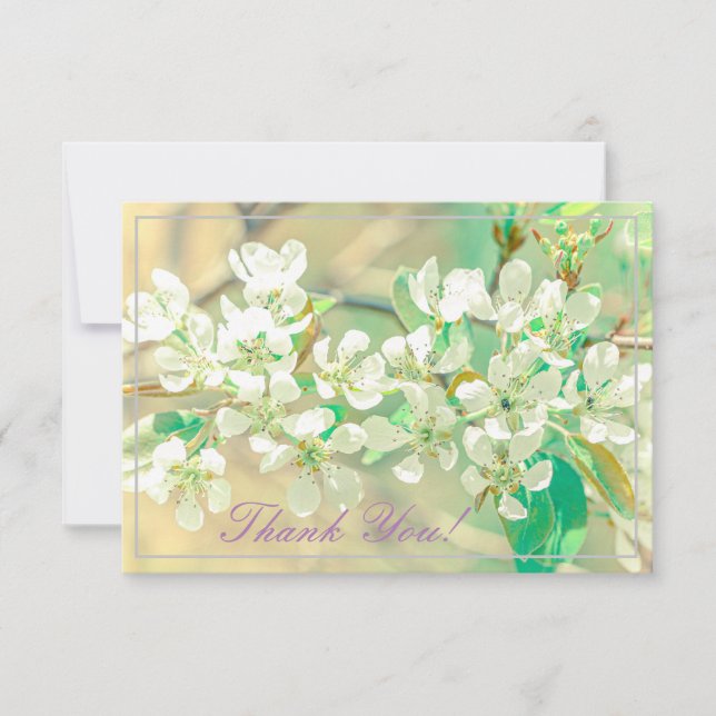 Pastel Pear Träd Blommar-Tack - platta kort (Framsida)