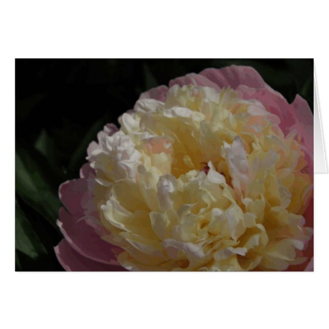 Pastel Petals Hälsningskort (Framsidan Horizontal)