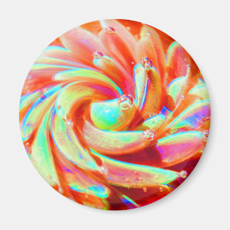Pastel Rainbow Bubble Ocean Sea Anemone Art Magnet