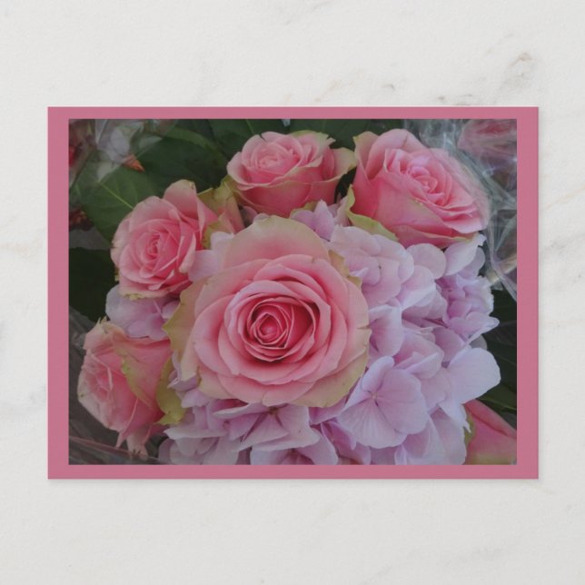 Pastel Ro och Hydrangea Flowers DIY Postcard Vykort (Framsida)