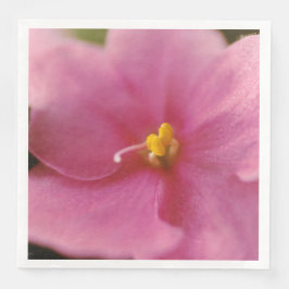 Pastel Rosa African Violet (Saintpaulia) Flower Pappersservett