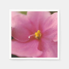 Pastel Rosa African Violet (Saintpaulia) Flower Pappersservett