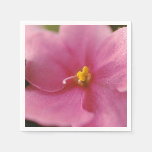 Pastel Rosa African Violet (Saintpaulia) Flower Pappersservett (Framsidan)