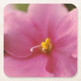 Pastel Rosa African Violet (Saintpaulia) Flower Underlägg Papper Kvadrat