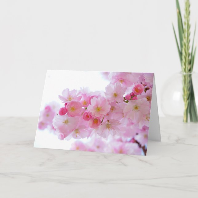 Pastel Rosa Cherry-Blommar Kort (Framsida)