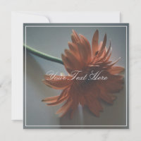 Pastel Rosa Chrysanthemum Ditt platta textkort