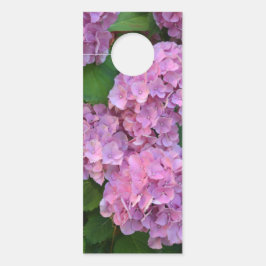 Pastel rosa Hortensia hydrangea blommor