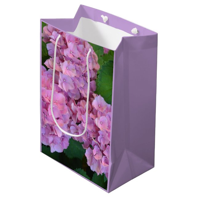 Pastel rosa Hortensia hydrangea blommor (Framsidan Vinklad)