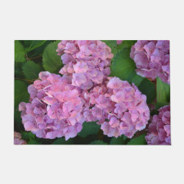 Pastel rosa Hortensia hydrangea blommor