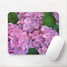 Pastel rosa Hortensia hydrangea blommor Musmatta
