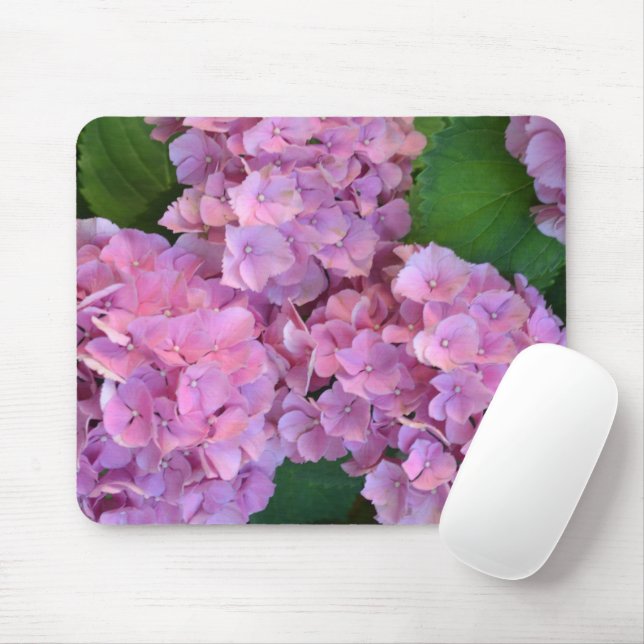 Pastel rosa Hortensia hydrangea blommor Musmatta (Med mus)