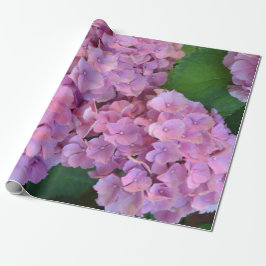 Pastel rosa Hortensia hydrangea bloom Presentpapper