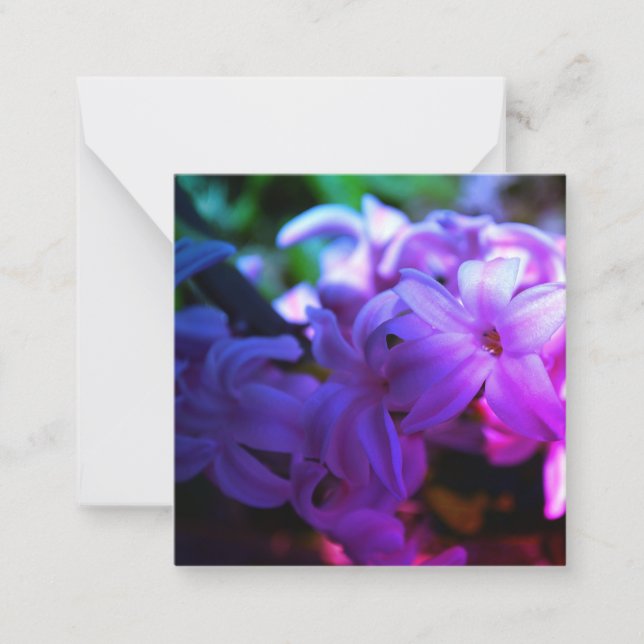 Pastel Rosa Hyacinth (Hyacinthus) Flower Anteckningskort (Framsida)