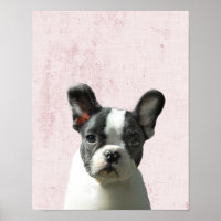 Pastel Rosa Peekaboo Boston Terrier Puppy Nursery