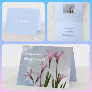 Pastel Rosa Rain Lilies Springtime Blommigt Card Kort