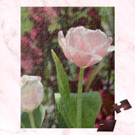 Pastel Rosa Tulips Springtime Blommigt Photographi Pussel