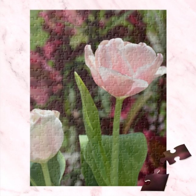 Pastel Rosa Tulips Springtime Blommigt Photographi Pussel (Skapare uppladdad)