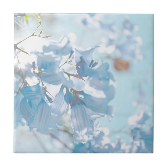Pastel Soft Blue Jacaranda Träd Flowers Blommar Kakelplatta (Framsidan)