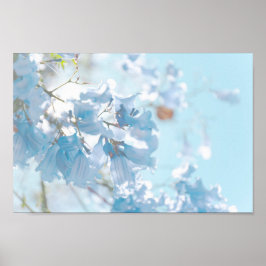 Pastel Soft Blue Jacaranda Träd Flowers Blommar Poster