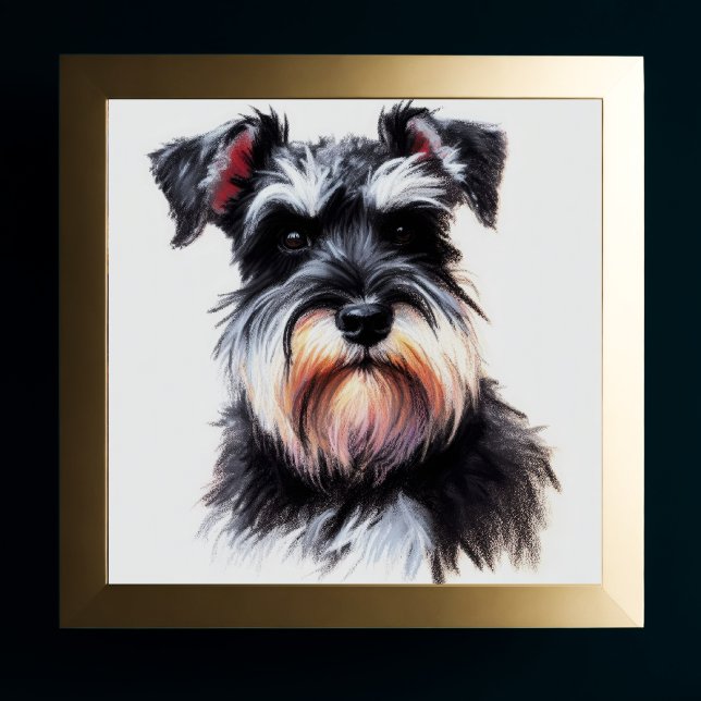 Pastel Teckning av Schnauzer Hund II Poster (Skapare uppladdad)