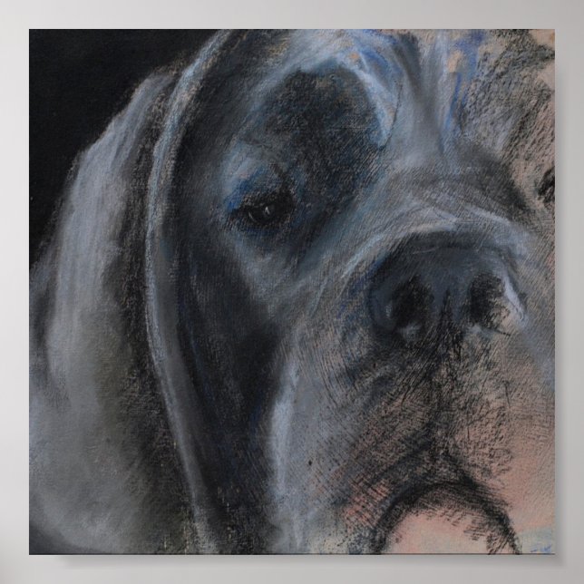 Pastel teckning Blue Great dane Poster (Framsidan)