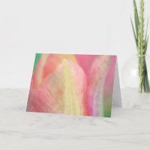 Pastel Tulip Close Up Art Note Card