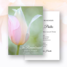 Pastel Tulip Flower Vår Dödsårsdag