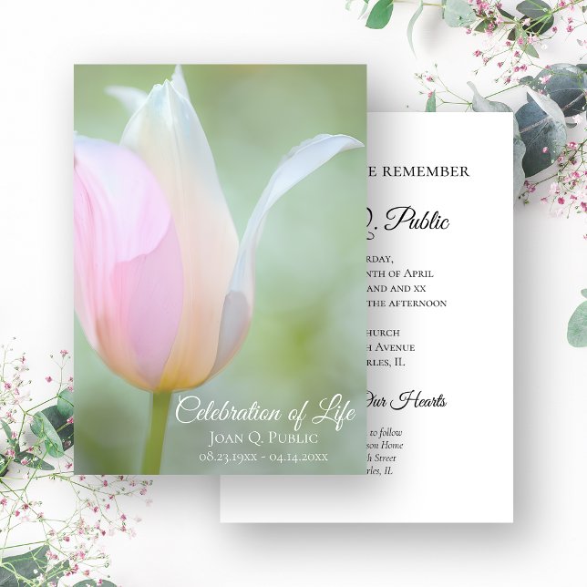 Pastel Tulip Vår Firande av Life Beeral Inbjudningar (Skapare uppladdad)