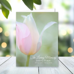 Pastel Tulip Vår Funeral Memorial Sympathy Tack Kort