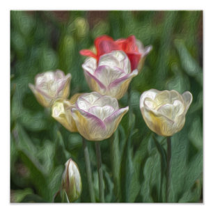 Pastel Tulips Fototryck