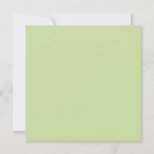 Pastell Äpplegrön Enfärgad Färg Kort